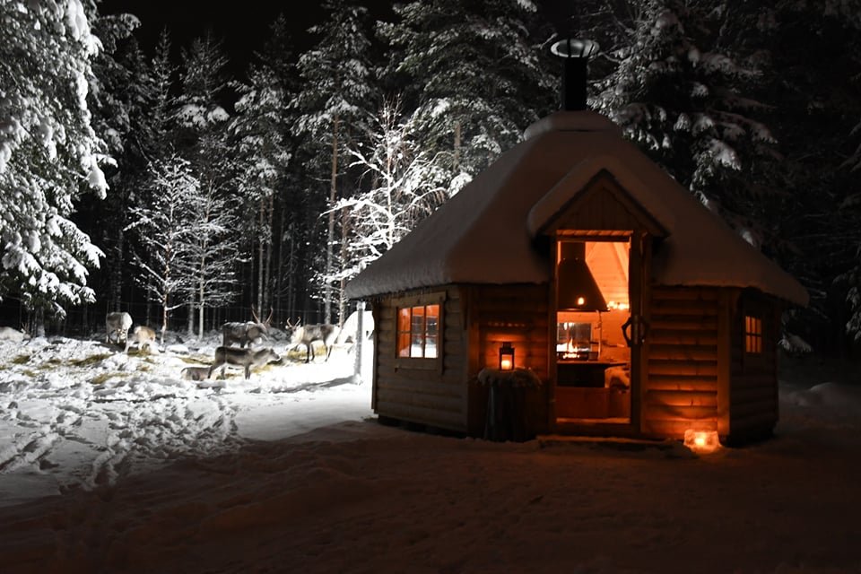 Kaatis Reindeer and Moose